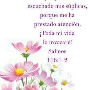 Meet your Posher, Areli